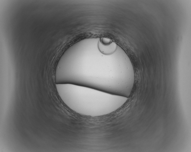 X0000110921009200906181211