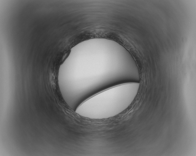 X0000110921010200906181211