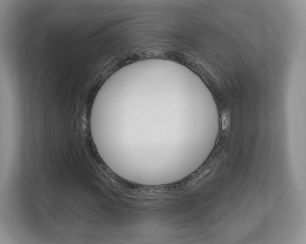 X0000110921011200906181211
