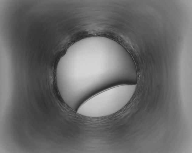 X0000110921012200906181211