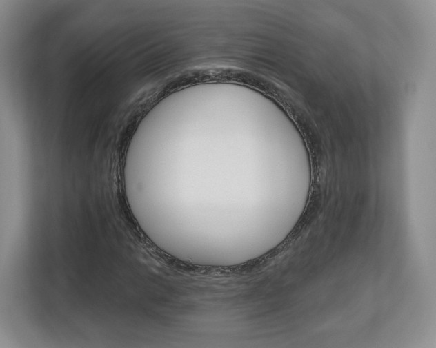 X0000110921014200906181211