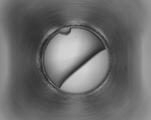 X0000110921018200906181211