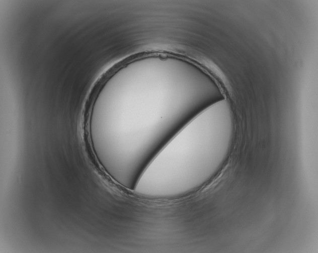 X0000110921020200906181212