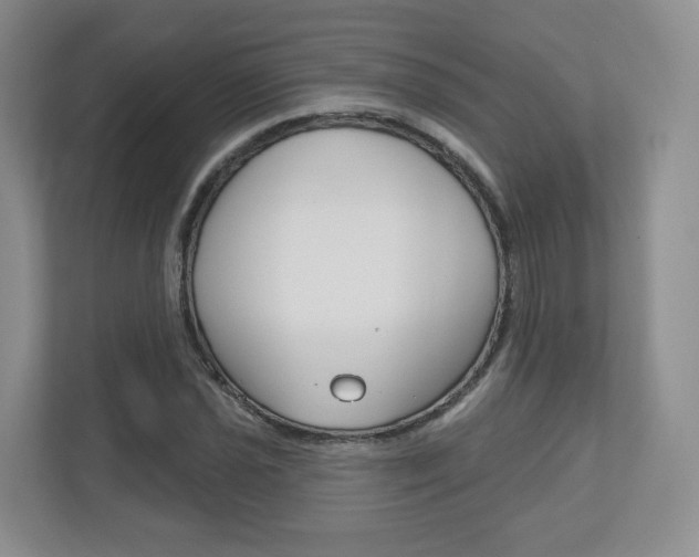 X0000110921021200906181212
