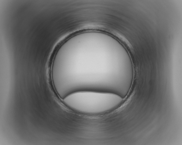 X0000110921029200906181212
