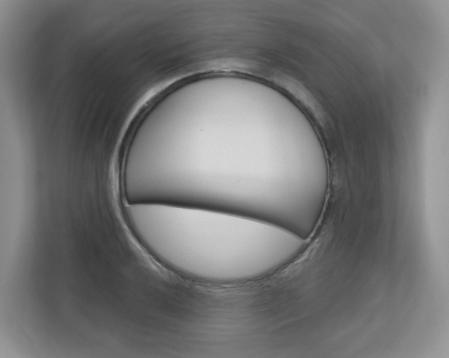 X0000110921032200906181212