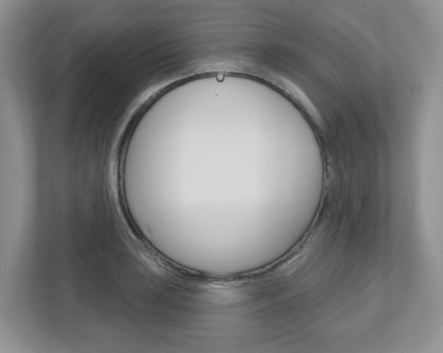 X0000110921035200906181212
