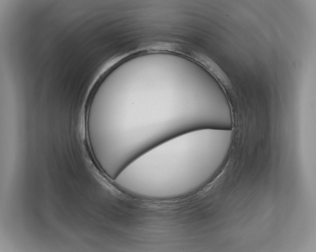X0000110921036200906181212
