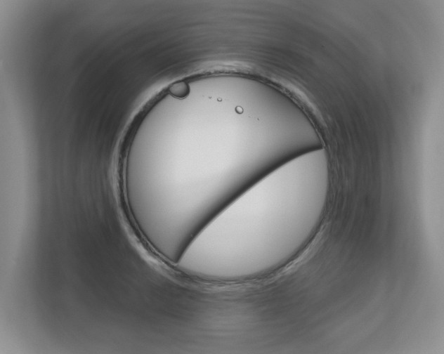 X0000110921038200906181212