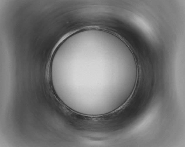 X0000110921052200906181212