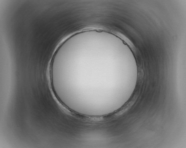 X0000110921055200906181212