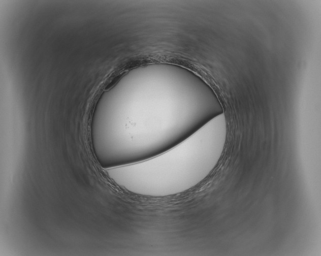 X0000110921057200906181211