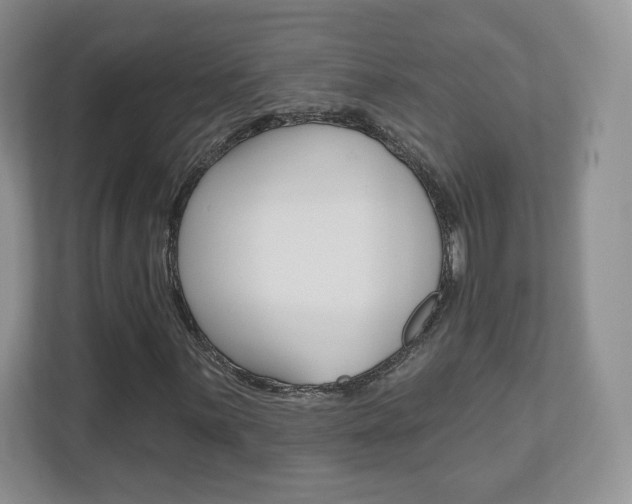 X0000110921059200906181211