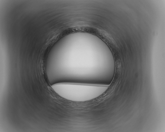 X0000110921060200906181211