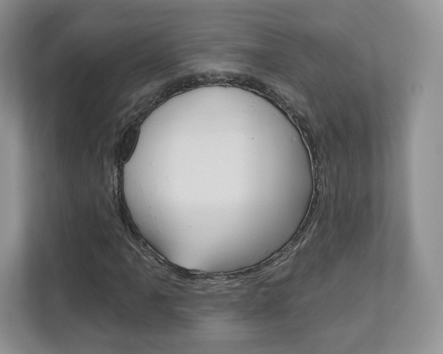 X0000110921061200906181211