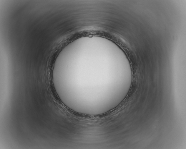 X0000110921062200906181211