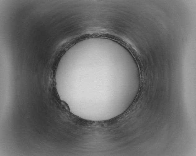 X0000110921063200906181211