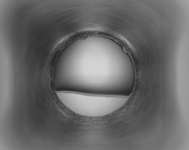 X0000110921064200906181211