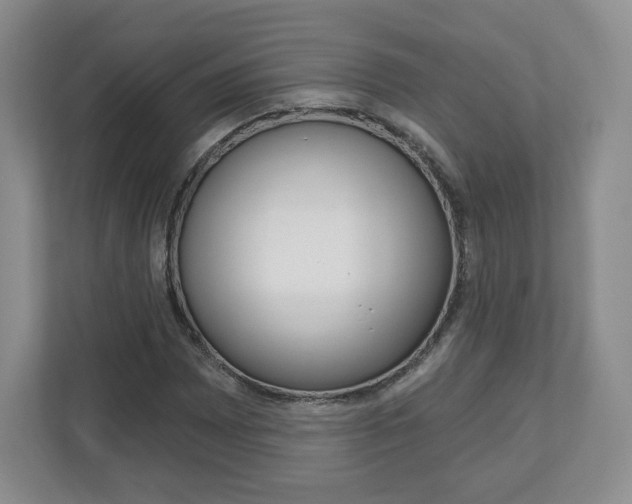 X0000110921065200906181211