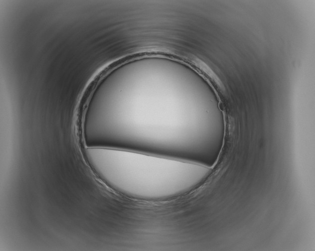 X0000110921068200906181211