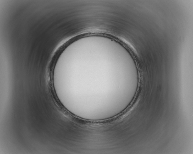 X0000110921070200906181211