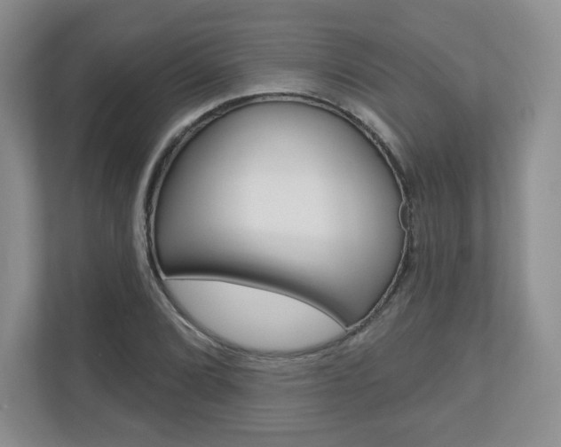 X0000110921072200906181211