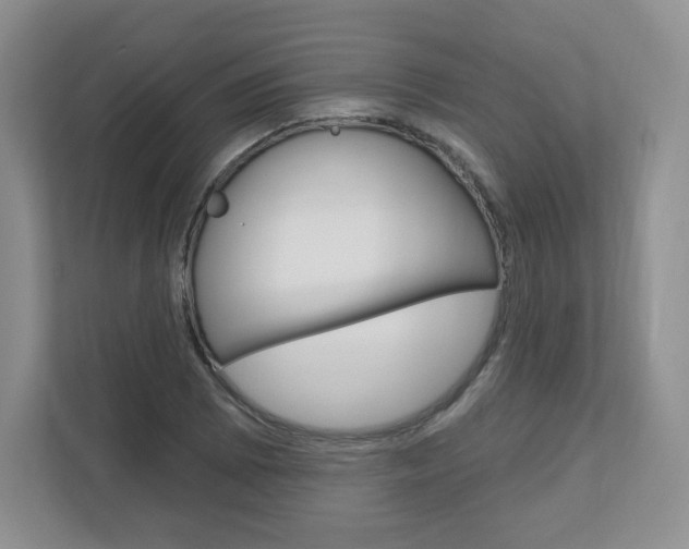 X0000110921073200906181211