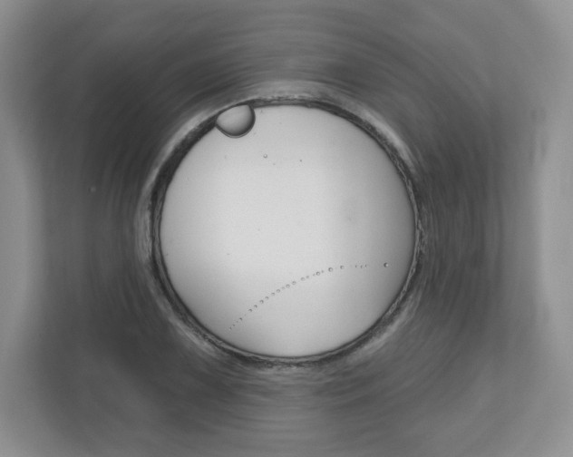 X0000110921075200906181211