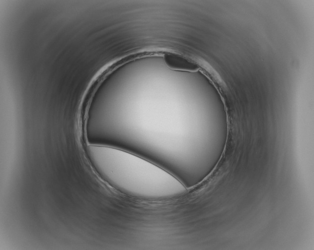 X0000110921076200906181211