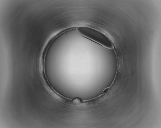 X0000110921080200906181211