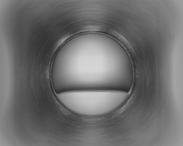 X0000110921081200906181211