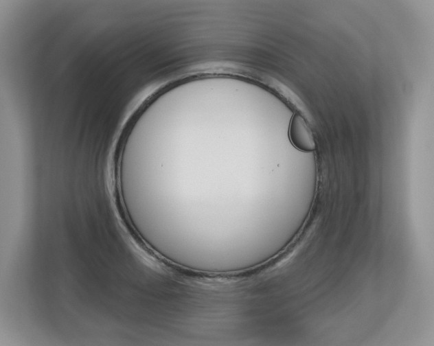 X0000110921082200906181211