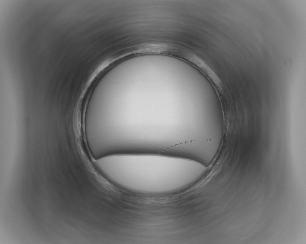 X0000110921083200906181211