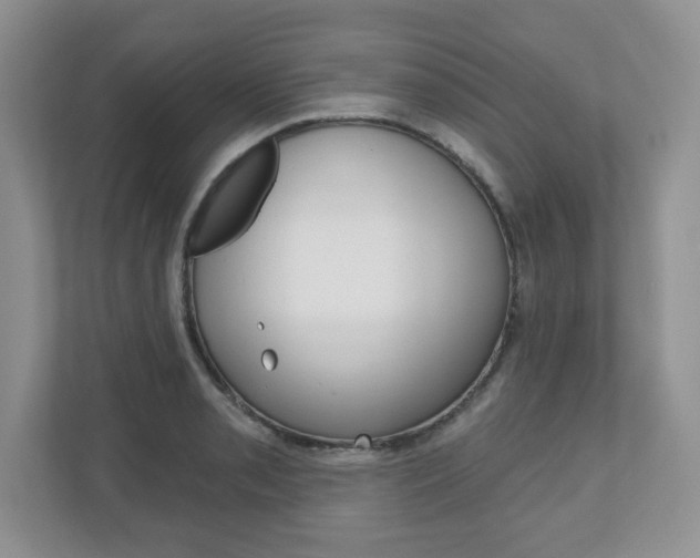 X0000110921085200906181211