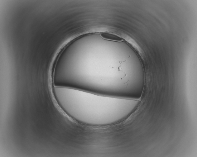 X0000110921088200906181211