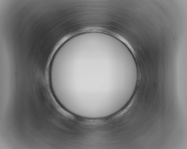 X0000110921090200906181211