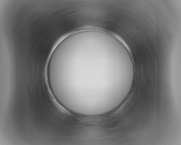 X0000110921098200906181211