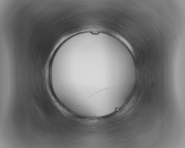 X0000110921099200906181211