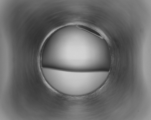 X0000110921100200906181211