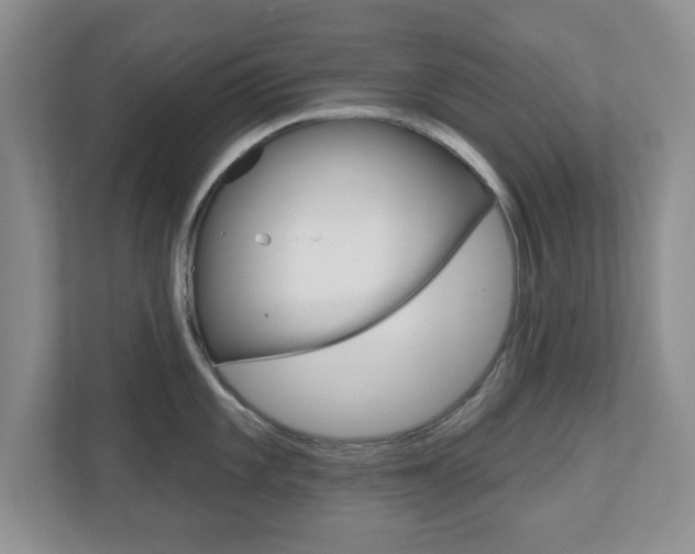 X0000110921101200906181211