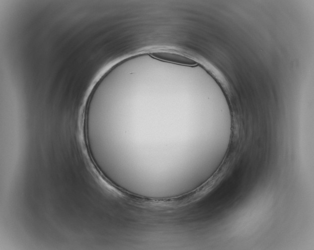 X0000110921102200906181211