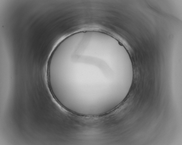 X0000110921103200906181211