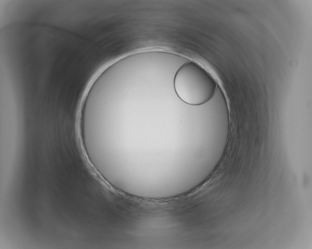 X0000110921104200906181211