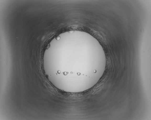 X0000110921105200906181210