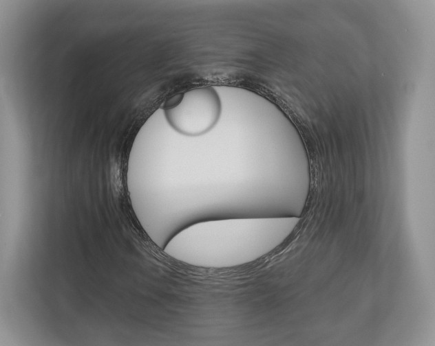 X0000110921106200906181210