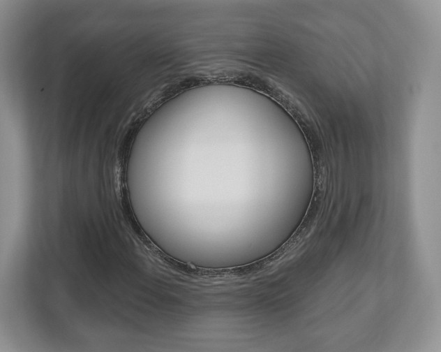 X0000110921108200906181210