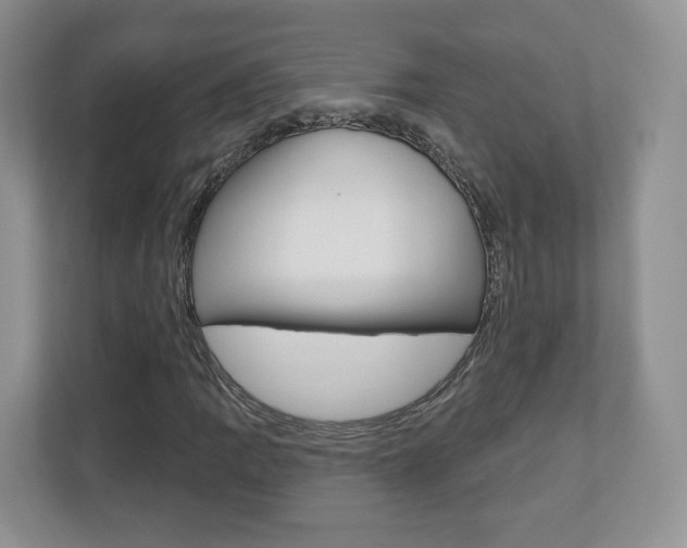 X0000110921109200906181210