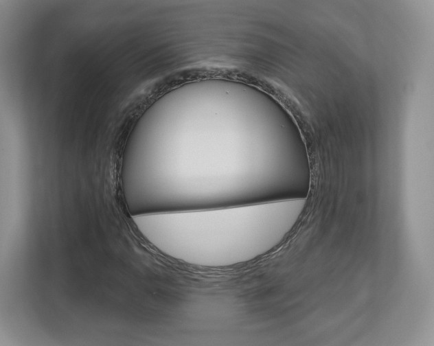 X0000110921110200906181210