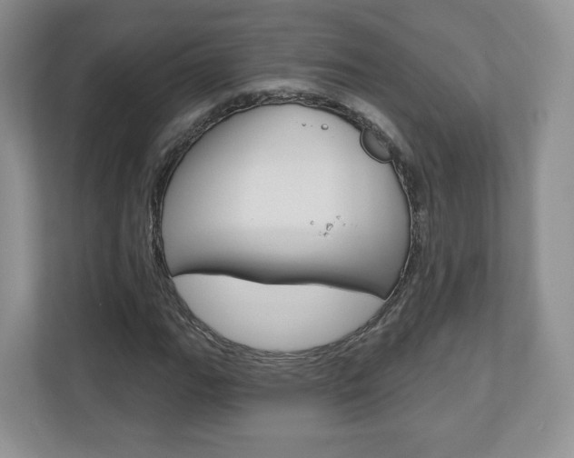 X0000110921111200906181210
