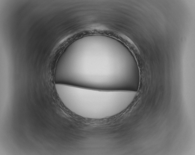X0000110921112200906181210